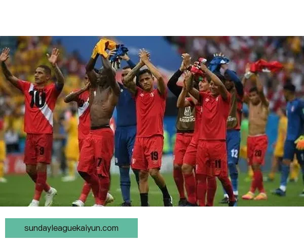 秘鲁队近期防线表现稳健，展现出较强的防守韧性与配合。